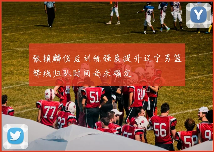 张镇麟伤后训练强度提升辽宁男篮锋线归队时间尚未确定